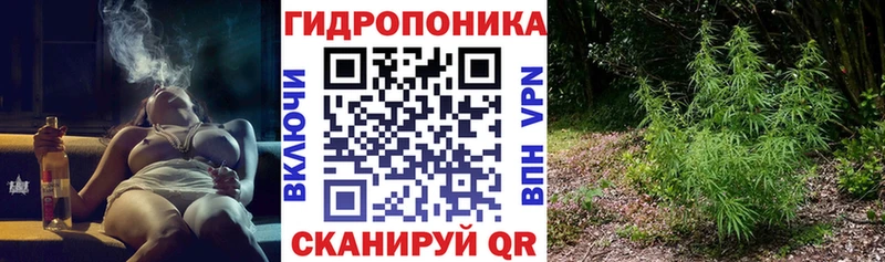 МАРИХУАНА семена Псков